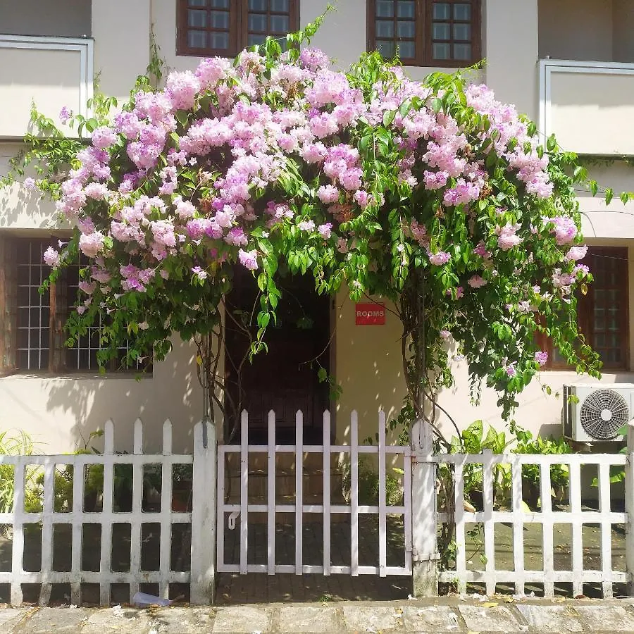 Sundance Beach Villa Kochi